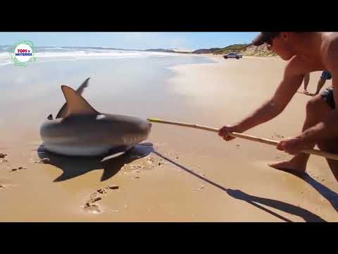 TOP 10 PLAYAS MÁS PELIGROSAS DEL MUNDO