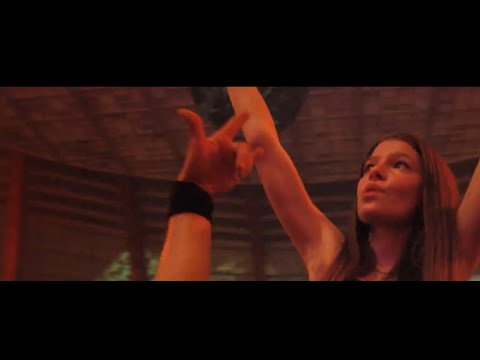 Deadly Guns & Predator - The Surge (Video Clip)