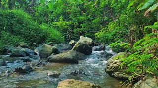 Night River Flow Sounds – Soothing Water Ambience Under the Moon for Deep Sleep
