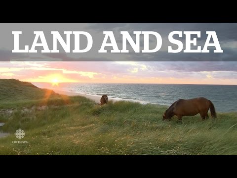 Land & Sea: Sable Island
