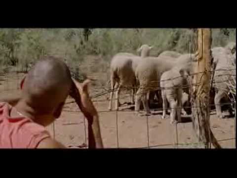 **A Thousand Roads** -(Full Movie)- **Special**
