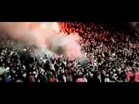 Los Fastidios - Antifa Hooligans (Official Video)