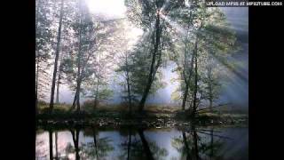 Steve Cole - Say It Again