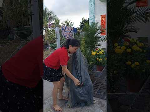 daily life 🥰🥰🥰