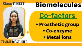 Biomolecules - Co-factors | Prosthetic group | Co-enzyme | Metal ions | Class 11 biology/NEET/AIIMS