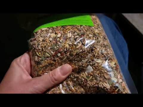 62. Neue Besen kehren gut