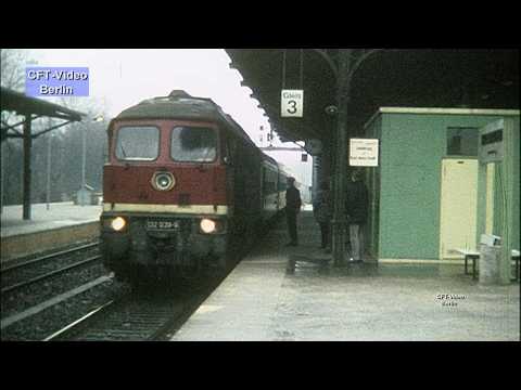 Das letzte Jahr vor dem Mauerfall