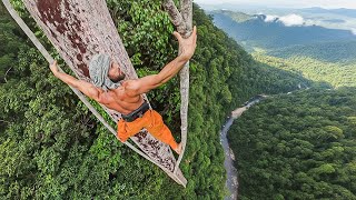 Download lagu 52m Freesolo Tree Climb in Indonesian Jungle mp3