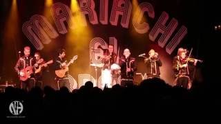 Mariachi El Bronx - Wildfires