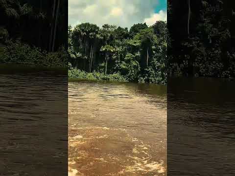 O que o rio nos ensina - Mazagão Velho