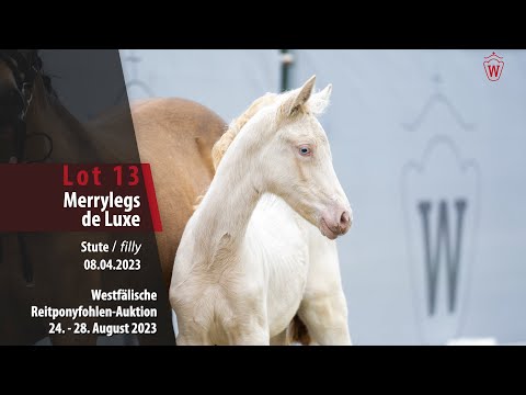 Reitponyfohlen-Auktion Lot 13 Merrylegs de Luxe Stute v. Mescal - FS Champion de Luxe