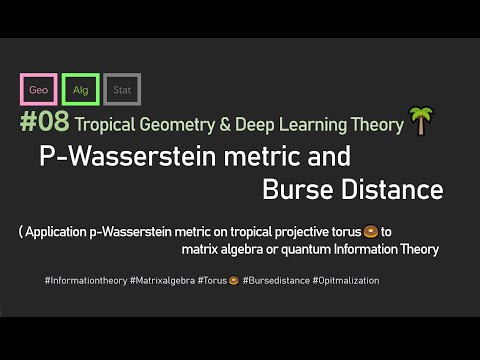 Lecture08 Burse distance: Interpretation Bures Distance into tropical Wasserstein metric