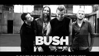 Bush - Don&#39;t Dream It&#39;s Over (Cover Song)
