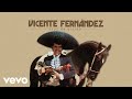 Vicente Fernández - Cruz de Olvido (Letra / Lyrics)