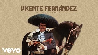 Vicente Fernández - Cruz de Olvido (Letra / Lyrics)