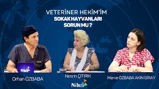 VETERİNER HEKİMİM & Orhan ÖZBABA & Merve ÖZBABA AKİNGİRAY & HAYTAP Başkanı Nesri