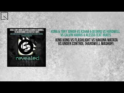 King Kong vs  Flashlight vs  Hakuna Matata vs  Under Control Hardwell 720 x 1280