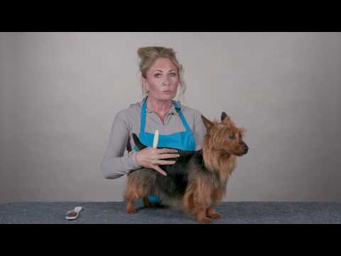 YouTube video about: How to use a stripping stone on a dog?