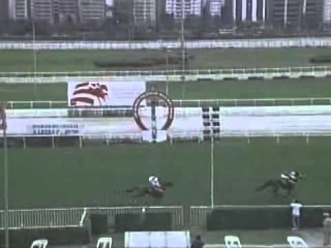 2010 GP Diana G1 UNA BELEZA