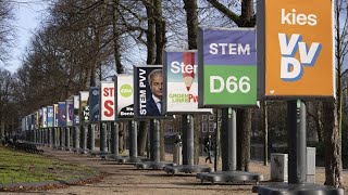 Kopf-an-Kopf-Rennen erwartet: Niederländer gehen an die Urnen