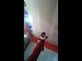 Dance Party Sambhal