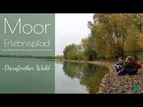 Moorerlebnispfad - Diersforther Wald Runde von Wesel
