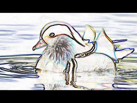 Sinto tua falta- Ebner Chrispim