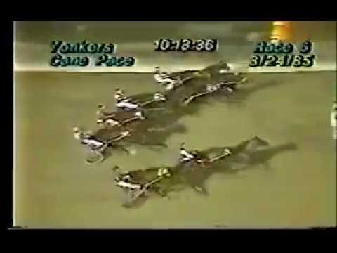 1985 Yonkers Raceway CHAIRMANOFTHEBOARD Cane Pace Final John Campbell