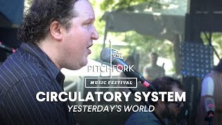 Circulatory System performs  "Yesterday's World" - Pitchfork Music Festival 2014