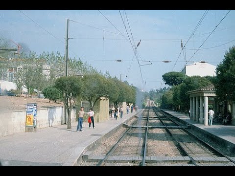 Jomba chefe dos merda, funny, hilarious!