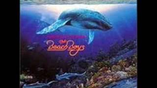 The Beach Boys - Lahaina Aloha - 1992