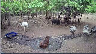 Thumbnail del capítulo