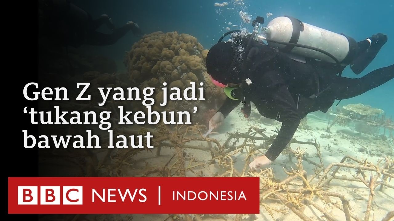 Para perempuan muda yang menjadi ‘tukang kebun bawah laut' di Selat Makassar - BBC News Indonesia