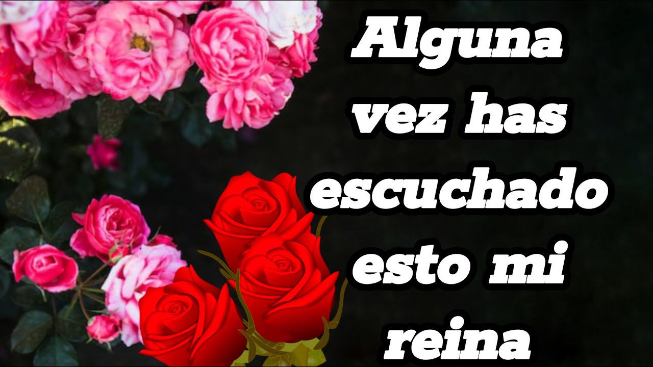 Alguna vez has escuchado esto mi reina