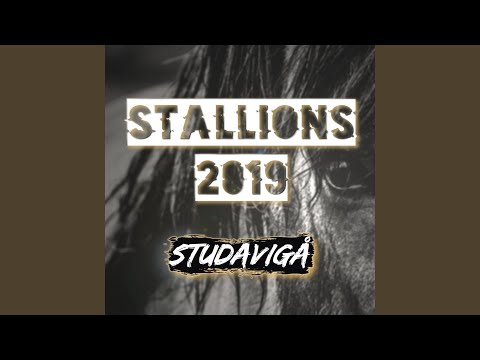 Stallions 2019