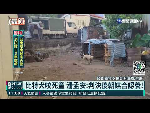 比特犬咬死3歲童 屏縣免死尋找認養