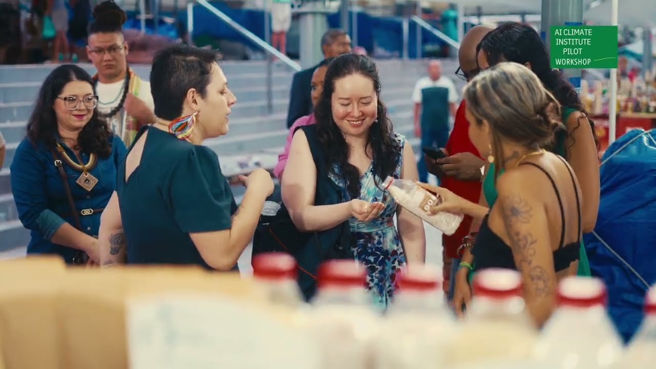 AI Climate Institute