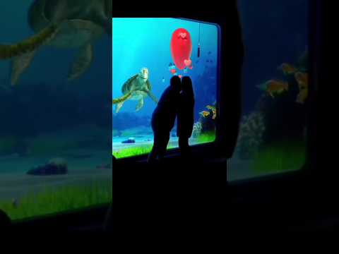 CRUSH HELP A PROPOSAL 💕 | Turtle talk with crush