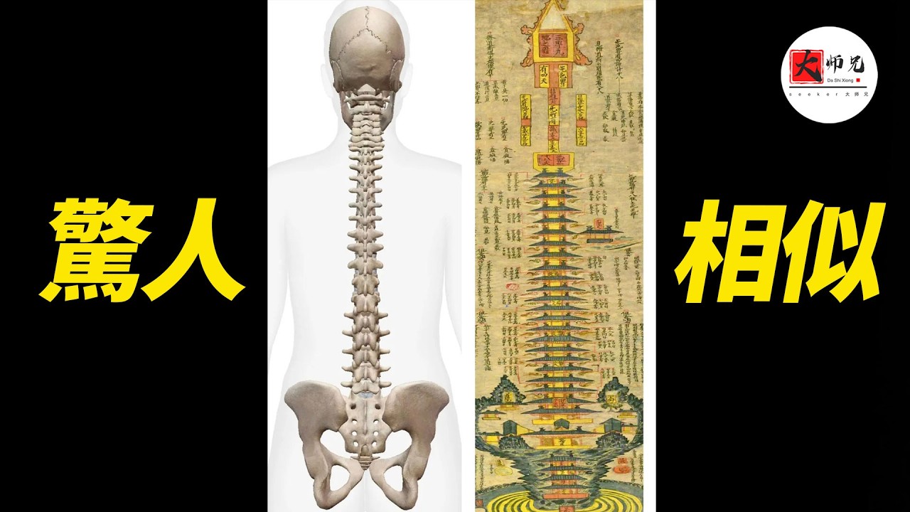 古人到底隐藏了什么秘密?为何三界九地图与人体脊柱如此惊人相似？|seeker大师兄
