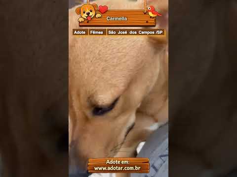 Vídeo de Carmella