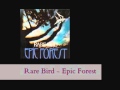 Rare Bird - Epic Forest (lyrics) 