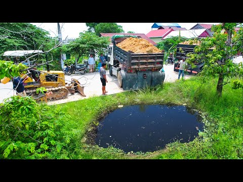 Wonderful Project!! Bulldozer & Truck 5T Push Rock Siol Into Water Filling Flooded Land