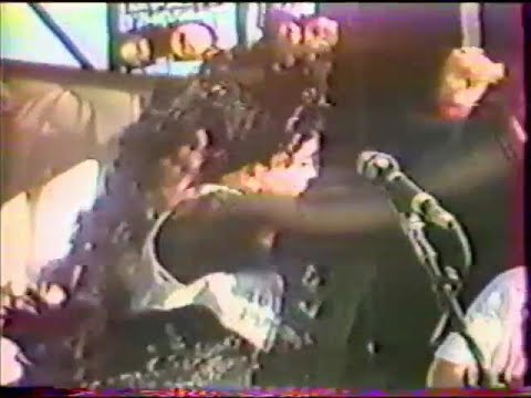 LENE LOVICH, B-52's & HOWARD JONES 1988 Report Animal Rights Festival US TV #lenelovich #b52s