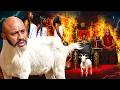 I Beg Every Family To Watch This Horrible Family Movie Of YUL EDOCHIE D Trapped Goat African Movie