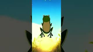 The Frog and the Light of Wisdom