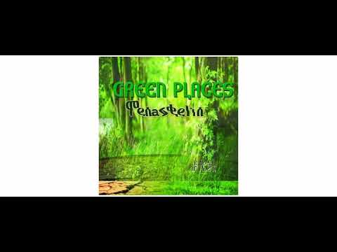 Tenastelin - Green Places - LP - Roots Hitek