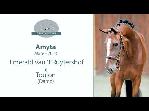 Amyta video 1