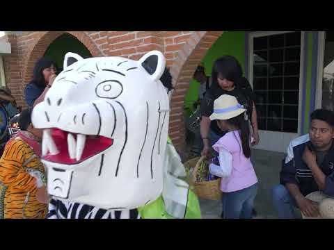 santa cruz huitziltepec puebla Carnaval24 03