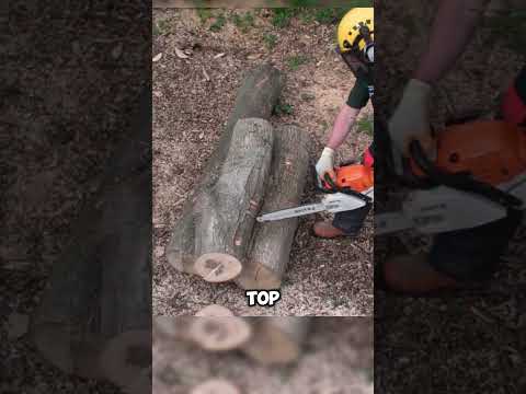 How to Prevent Chainsaw Kickback! #facts #chainsaw