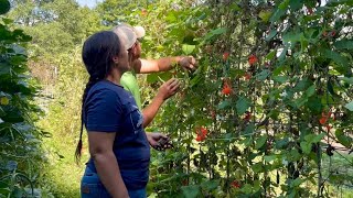 Morning in the Garden, Supper on the Table, Hay in the Field || September 2025